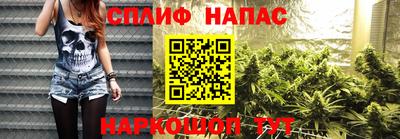 прущие крисы Будённовск