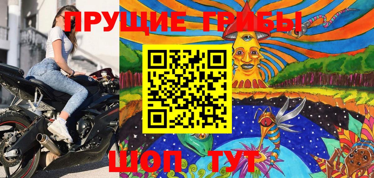 Галлюциногенные грибы Cubensis Михайловка